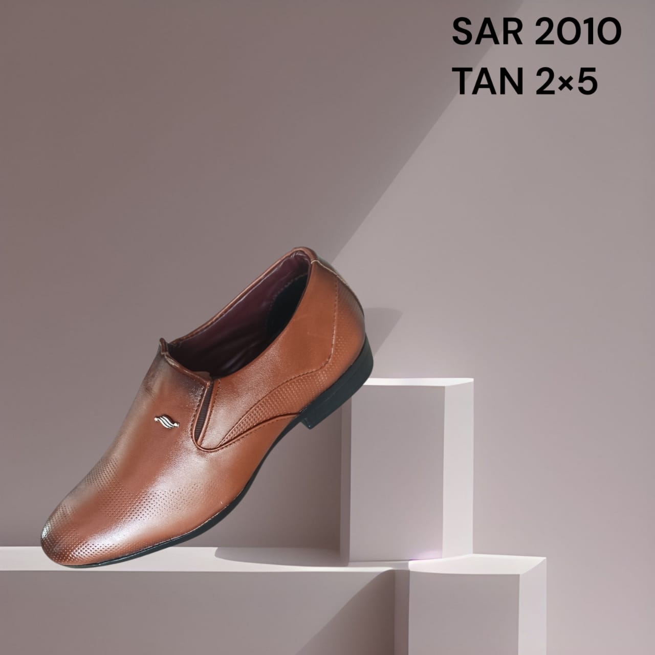 SAR 2010